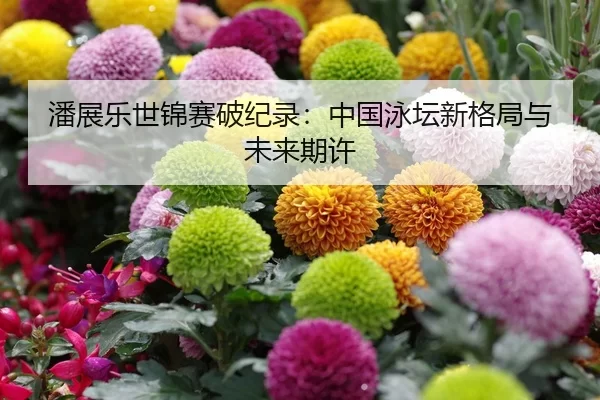 潘展乐世锦赛破纪录：中国泳坛新格局与未来期许