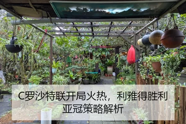 C罗沙特联开局火热，利雅得胜利亚冠策略解析