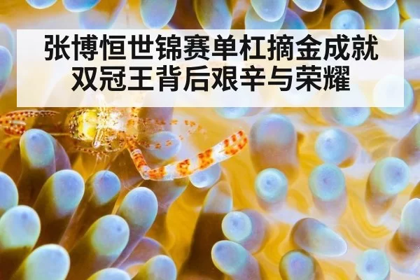 张博恒世锦赛单杠摘金成就双冠王背后艰辛与荣耀